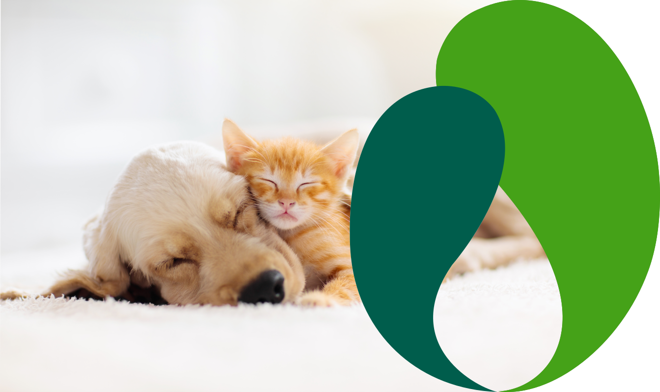 Lacto Production Production Dalimentation Animale A Montauban De Bretagne Pet