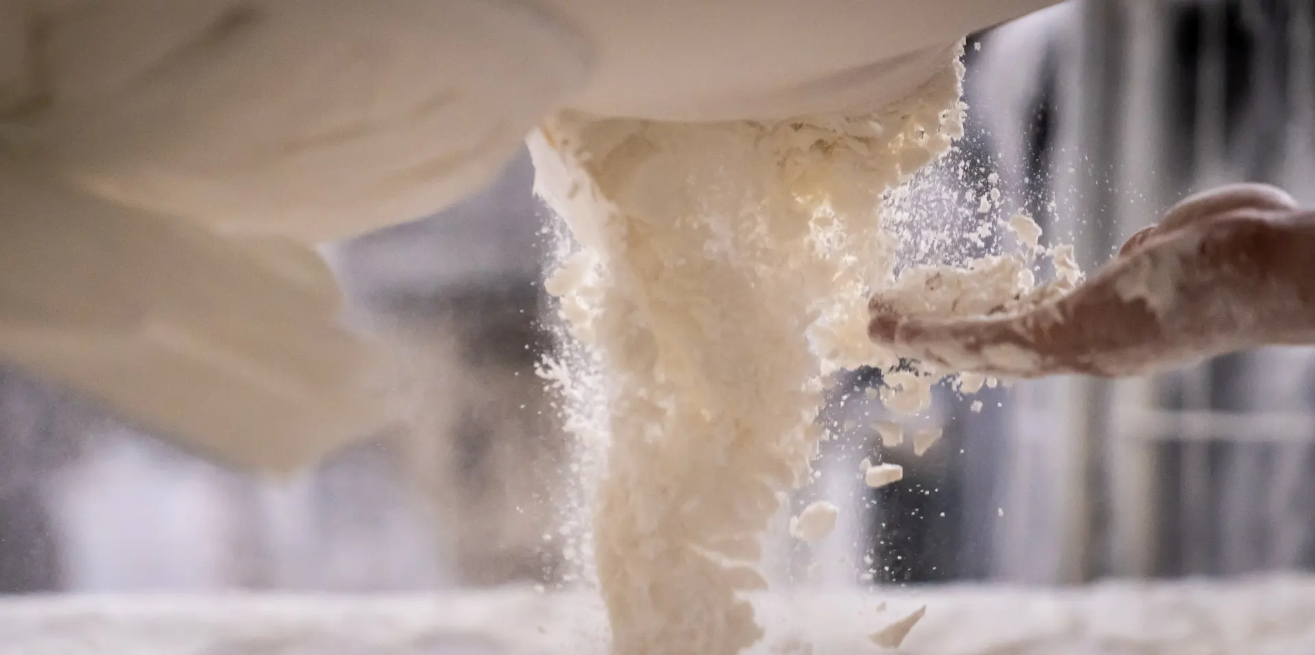 Lacto Production Production Dalimentation Animale A Montauban De Bretagne Atelier Dalimentation Animale 1